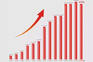 王中五4933332017年上半年销售收入55.36亿元，同比增长77.3%